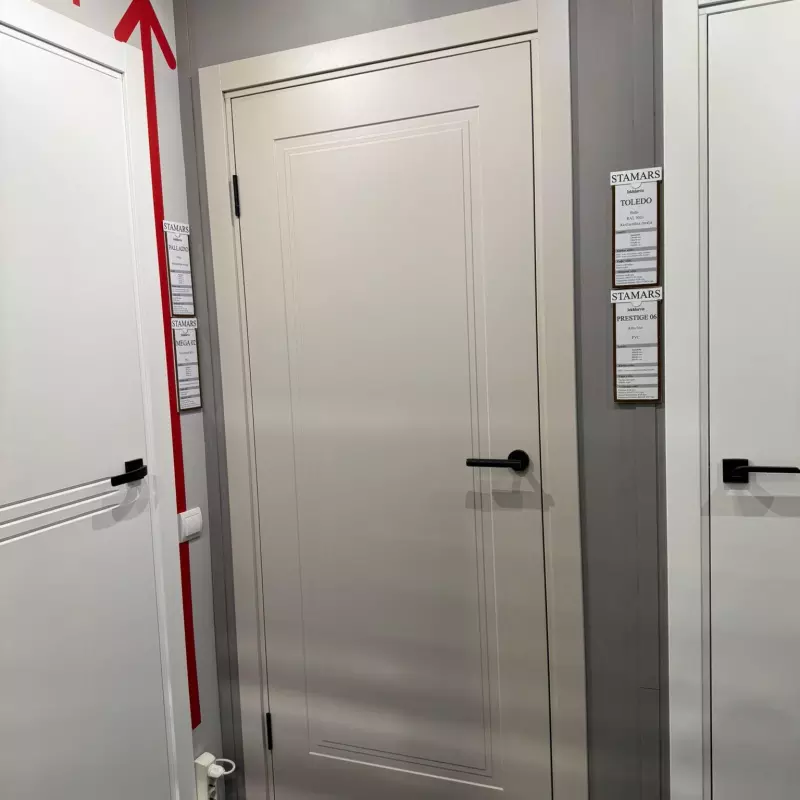 Durvis PALLADIO Krāsotas durvis