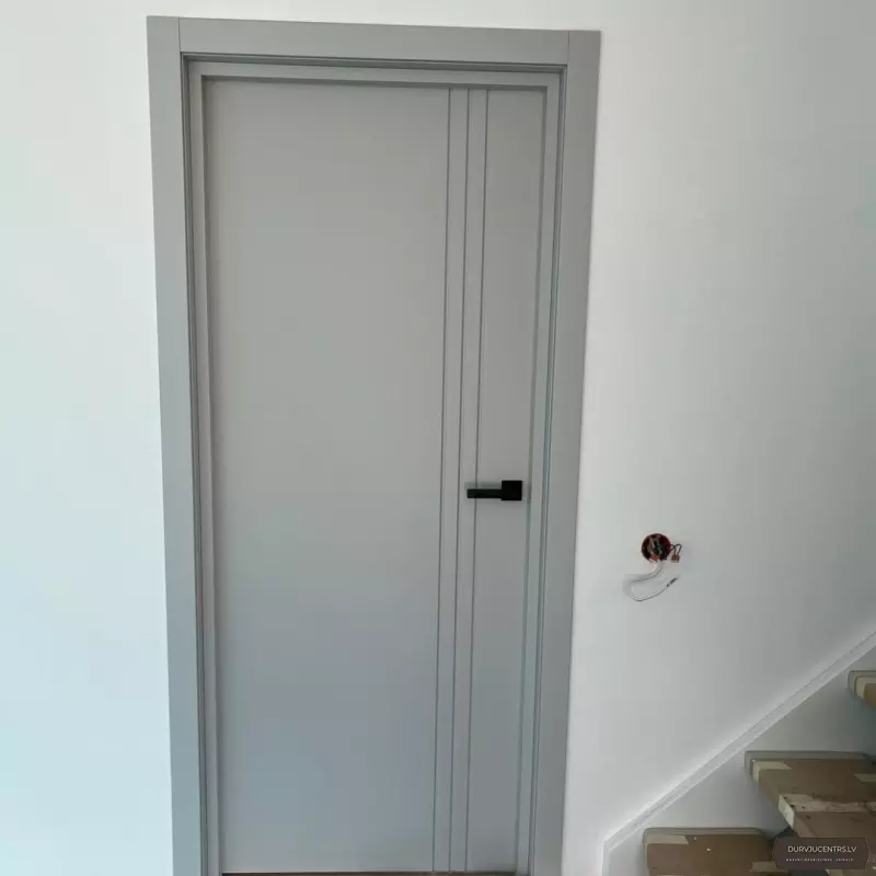 Durvis SALIN Gaiši pelēka emalja RAL 7047