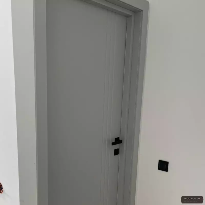 Durvis SALIN Gaiši pelēka emalja RAL 7047